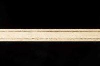 Andro Synteliac ZCI 攻撃用