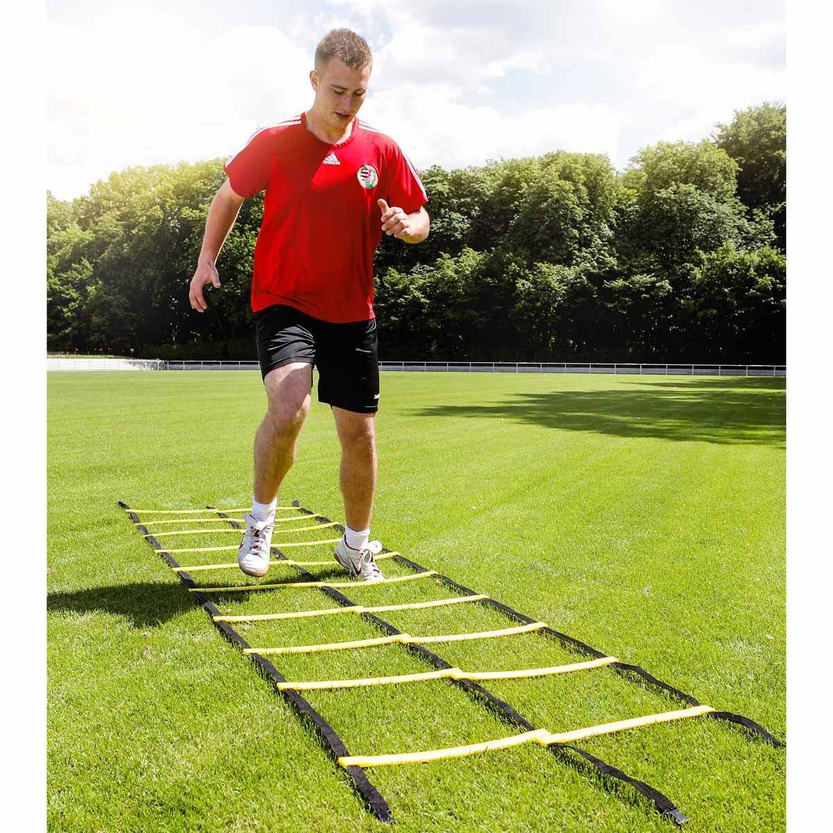 Gewo コーディネーションラダー「アジリティ」ダブルラダー 8m 黒/黄